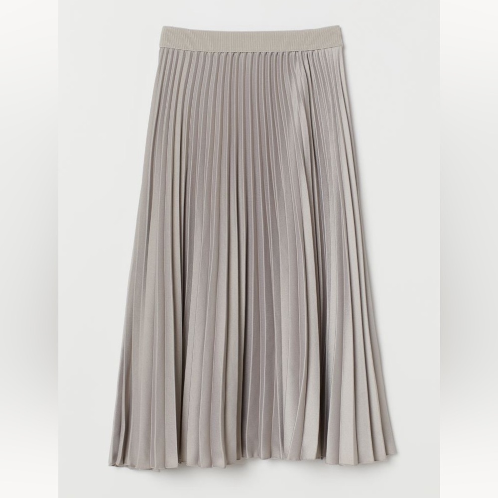 H&M Pleated Skirt